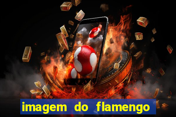 imagem do flamengo para perfil